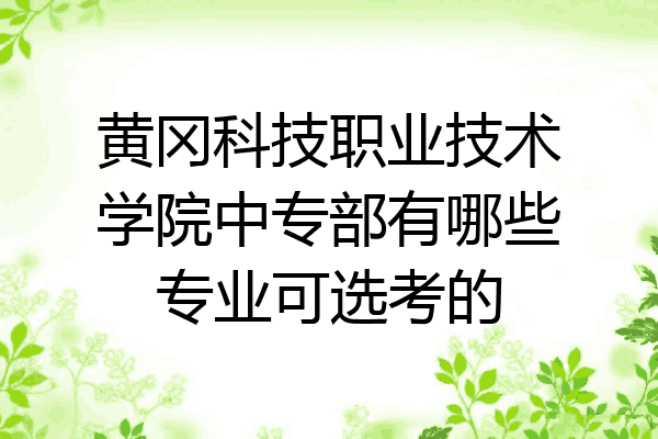 黄冈科技职业技术学院中专部有哪些专业可选考的