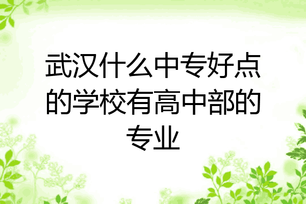 武汉什么中专好点的学校有高中部的专业