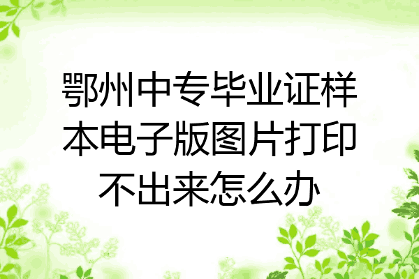 鄂州中专毕业证样本电子版图片打印不出来怎么办