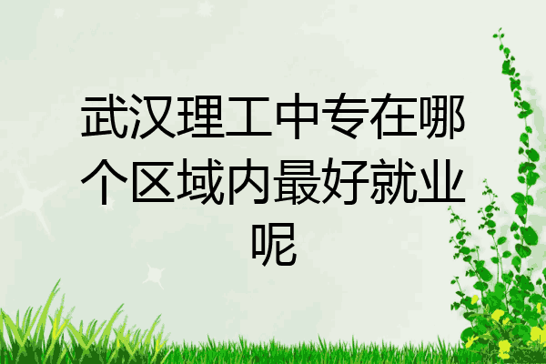 武汉理工中专在哪个区域内最好就业呢