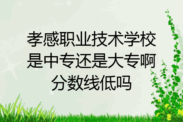 孝感职业技术学校是中专还是大专啊分数线低吗