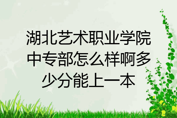 湖北艺术职业学院中专部怎么样啊多少分能上一本