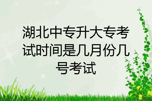 湖北中专升大专考试时间是几月份几号考试