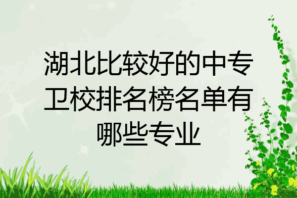 湖北比较好的中专卫校排名榜名单有哪些专业