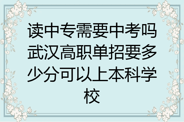 读中专需要中考吗武汉高职单招要多少分可以上本科学校