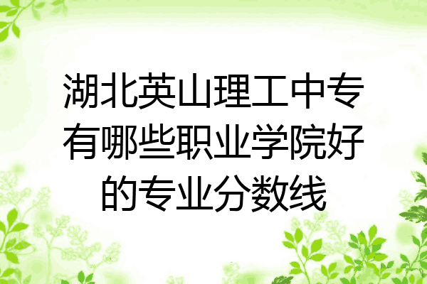 湖北英山理工中专有哪些职业学院好的专业分数线