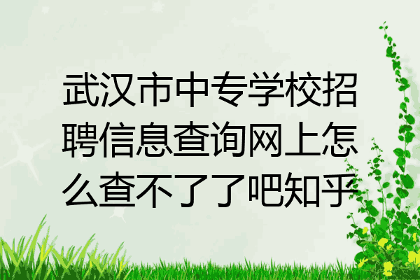 武汉市中专学校招聘信息查询网上怎么查不了了吧知乎