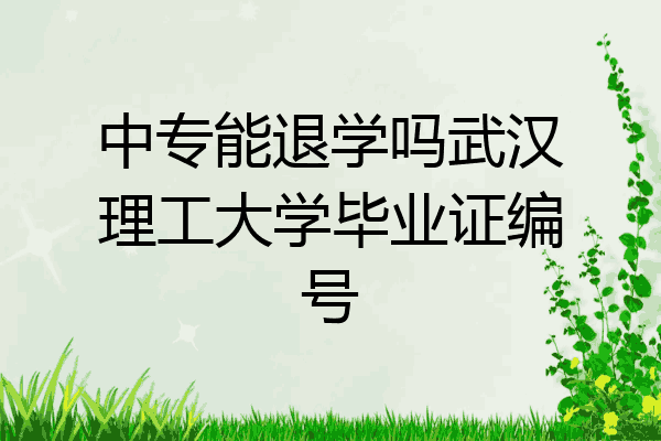 中专能退学吗武汉理工大学毕业证编号
