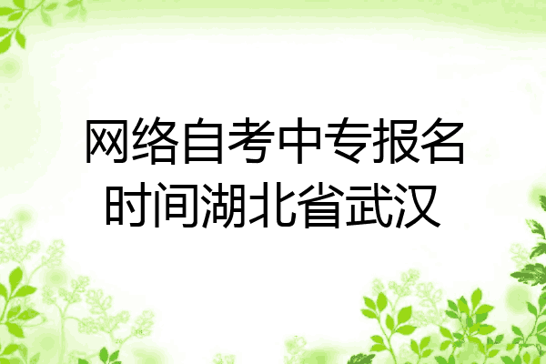 网络自考中专报名时间湖北省武汉
