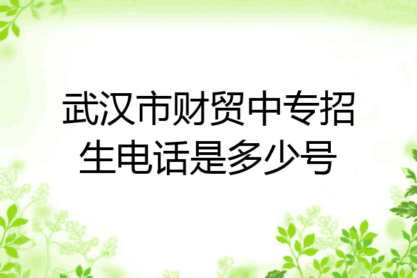 武汉市财贸中专招生电话是多少号