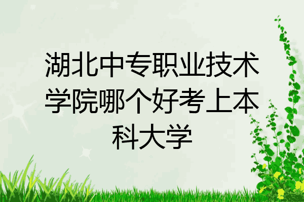 湖北中专职业技术学院哪个好考上本科大学