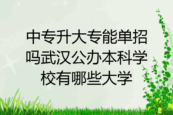 中专升大专能单招吗武汉公办本科学校有哪些大学