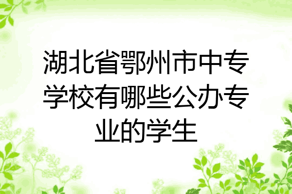 湖北省鄂州市中专学校有哪些公办专业的学生