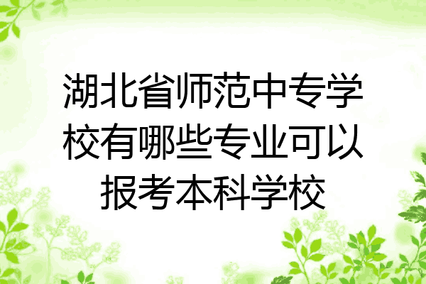 湖北省师范中专学校有哪些专业可以报考本科学校