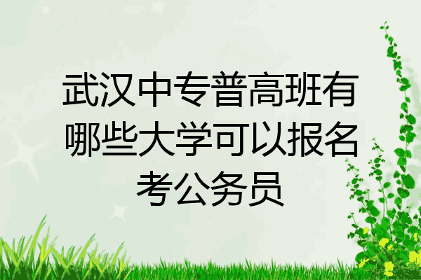 武汉中专普高班有哪些大学可以报名考公务员