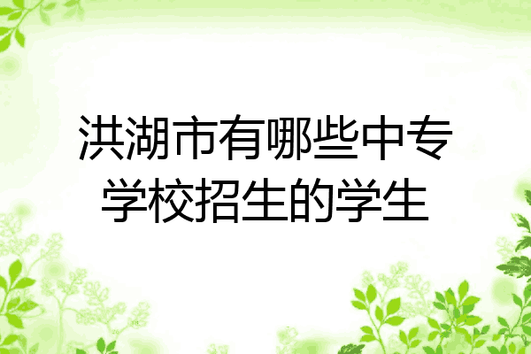洪湖市有哪些中专学校招生的学生