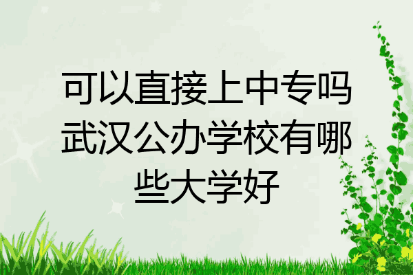 可以直接上中专吗武汉公办学校有哪些大学好
