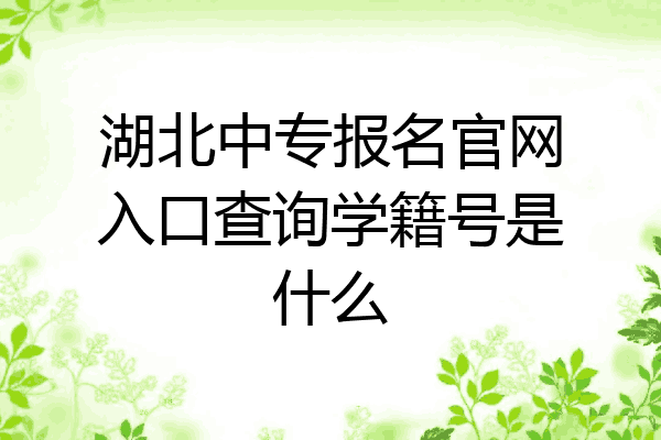 湖北中专报名官网入口查询学籍号是什么