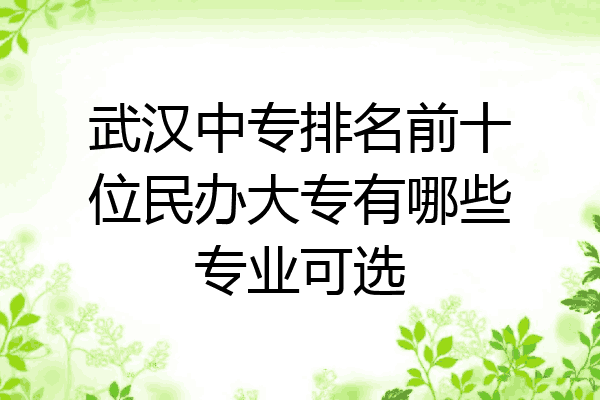 武汉中专排名前十位民办大专有哪些专业可选