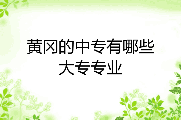 黄冈的中专有哪些大专专业