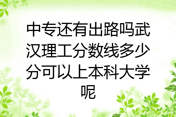 中专还有出路吗武汉理工分数线多少分可以上本科大学呢