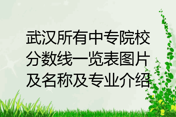 武汉所有中专院校分数线一览表图片及名称及专业介绍
