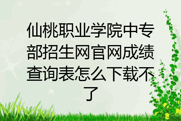 仙桃职业学院中专部招生网官网成绩查询表怎么下载不了