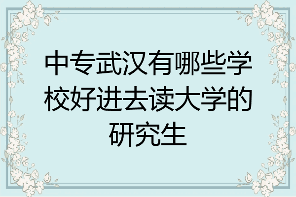 中专武汉有哪些学校好进去读大学的研究生