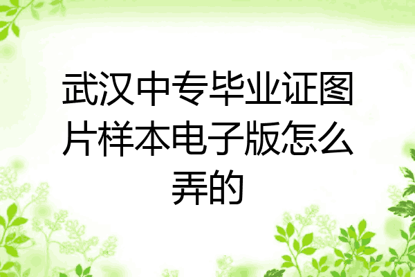 武汉中专毕业证图片样本电子版怎么弄的