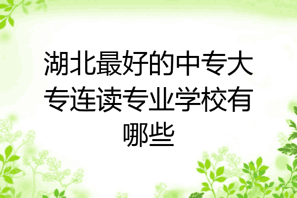 湖北最好的中专大专连读专业学校有哪些