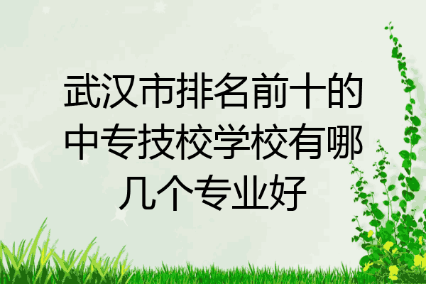 武汉市排名前十的中专技校学校有哪几个专业好