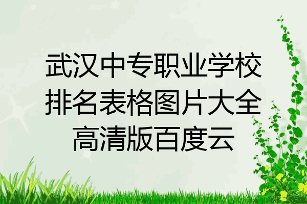 武汉中专职业学校排名表格图片大全高清版百度云