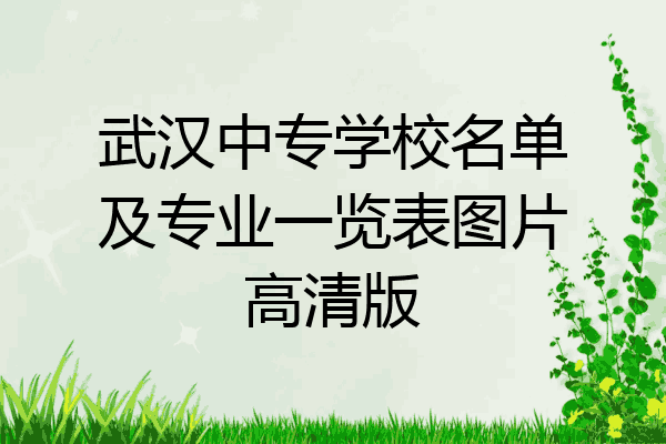 武汉中专学校名单及专业一览表图片高清版