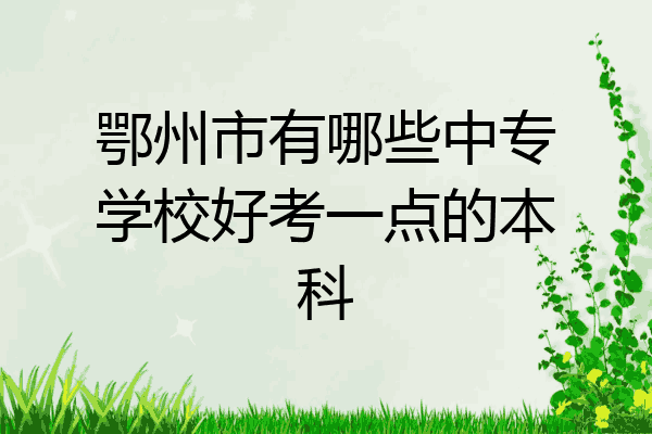鄂州市有哪些中专学校好考一点的本科