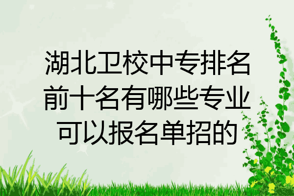 湖北卫校中专排名前十名有哪些专业可以报名单招的