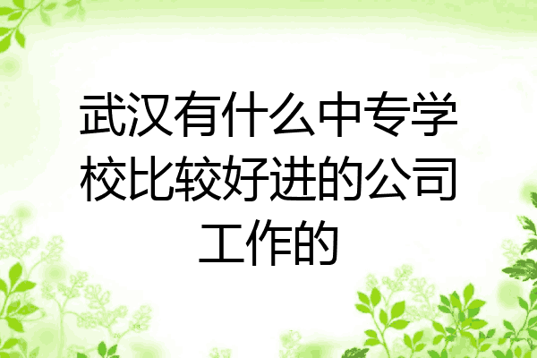 武汉有什么中专学校比较好进的公司工作的