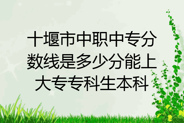 十堰市中职中专分数线是多少分能上大专专科生本科