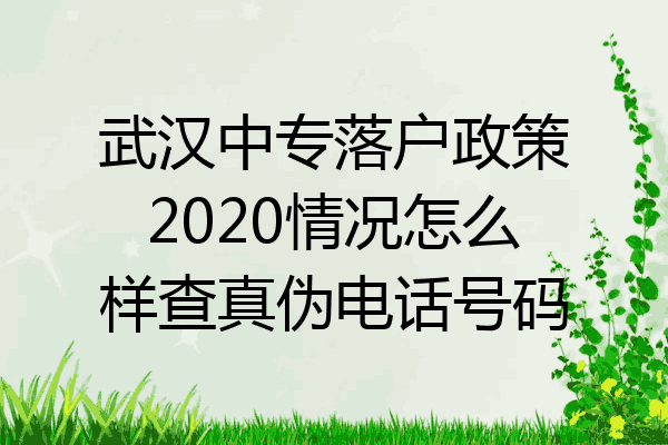 武汉中专落户政策2020情况怎么样查真伪电话号码