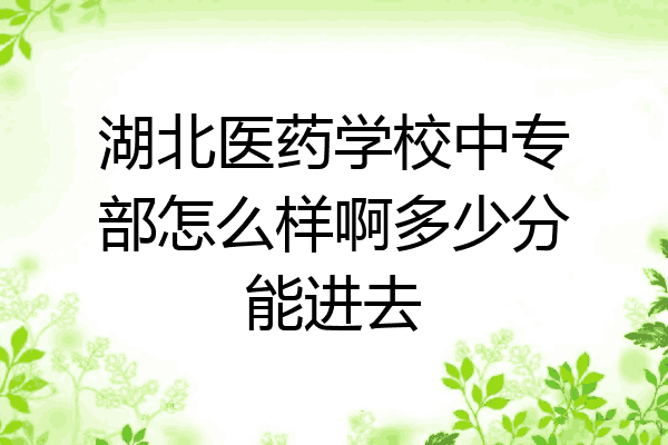 湖北医药学校中专部怎么样啊多少分能进去