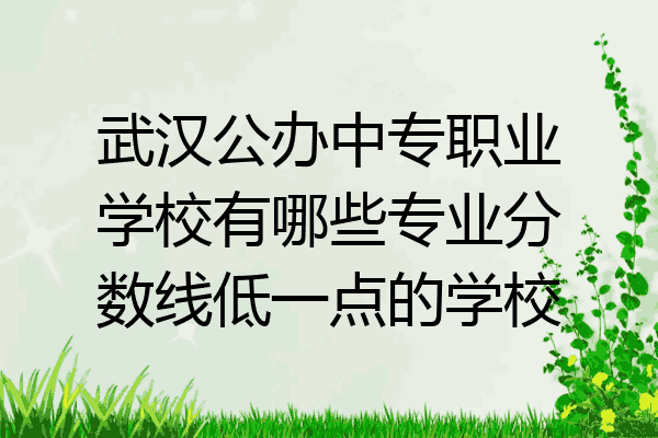 武汉公办中专职业学校有哪些专业分数线低一点的学校