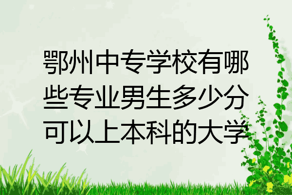 鄂州中专学校有哪些专业男生多少分可以上本科的大学