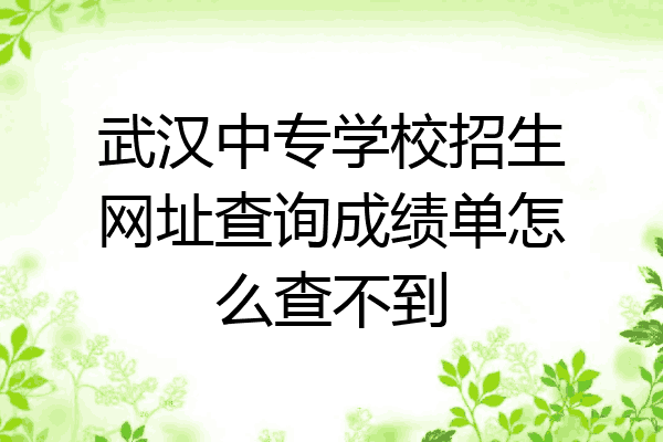 武汉中专学校招生网址查询成绩单怎么查不到
