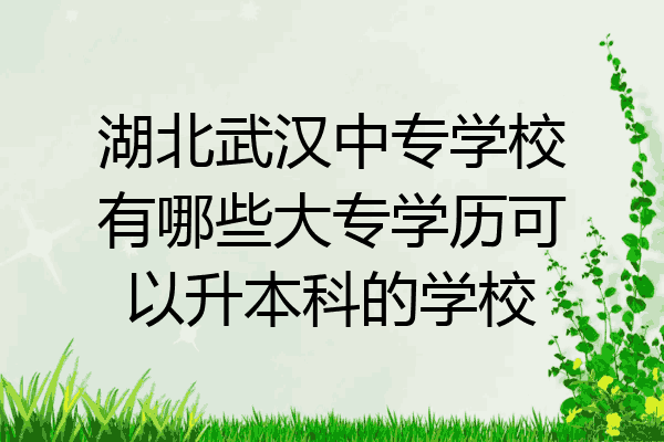 湖北武汉中专学校有哪些大专学历可以升本科的学校