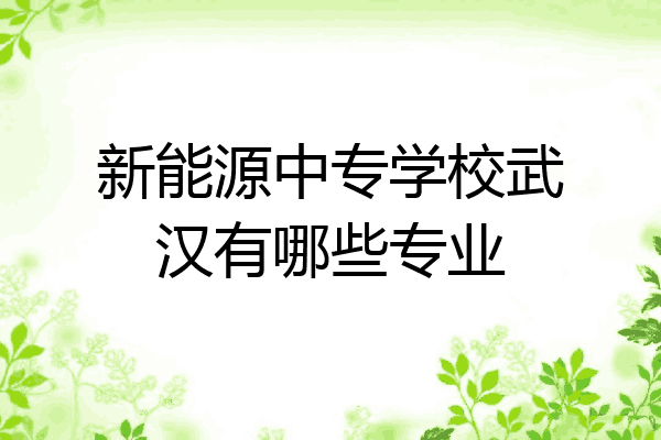 新能源中专学校武汉有哪些专业