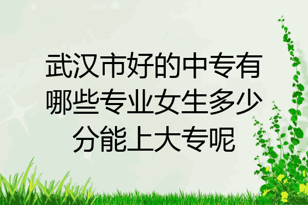 武汉市好的中专有哪些专业女生多少分能上大专呢