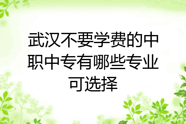 武汉不要学费的中职中专有哪些专业可选择