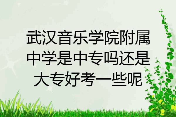 武汉音乐学院附属中学是中专吗还是大专好考一些呢