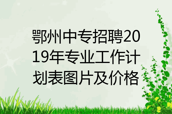鄂州中专招聘2019年专业工作计划表图片及价格
