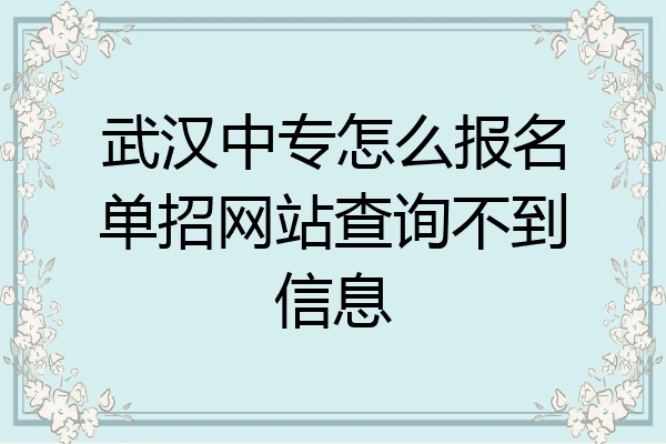 武汉中专怎么报名单招网站查询不到信息