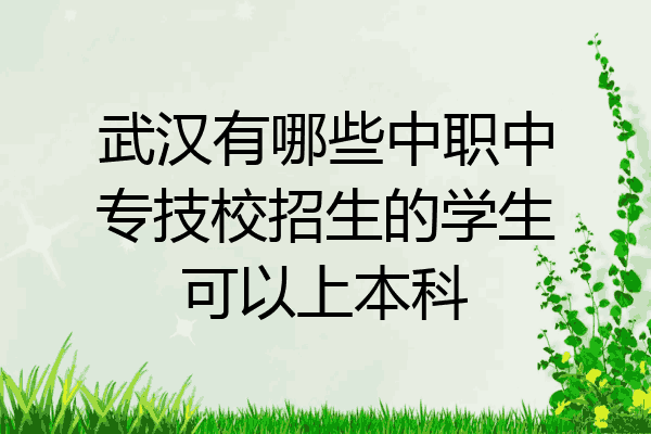 武汉有哪些中职中专技校招生的学生可以上本科